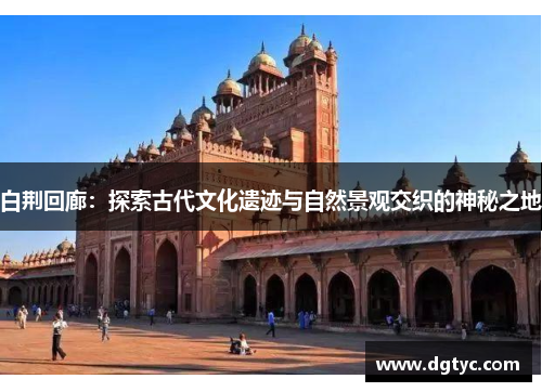 白荆回廊：探索古代文化遗迹与自然景观交织的神秘之地